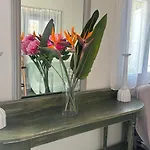 別荘 Mimoza Collection Of Mykonos Town
