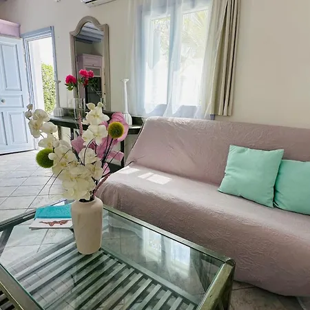 Mimoza Collection Of